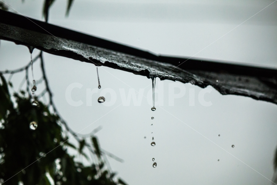 물방울,풍경,빗방울,스냅,비내리는날,비,비오는날,rain,rainy