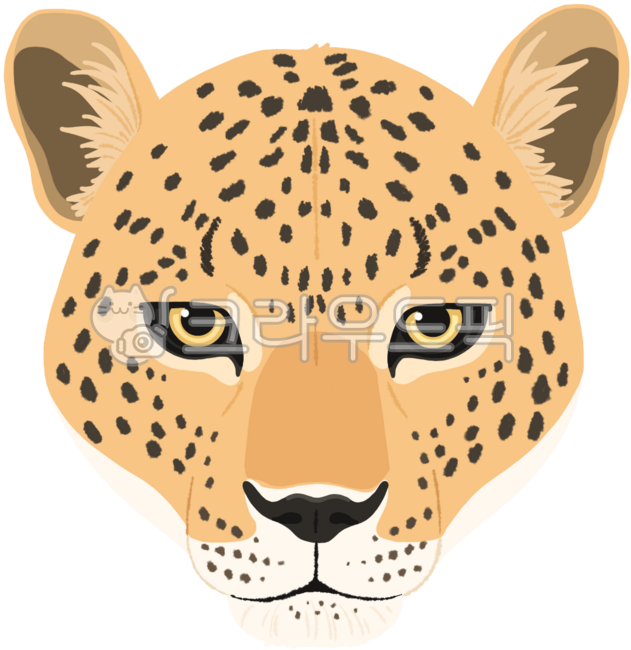 표범일러스트,표범,동물,동물일러스트,leopard,animal