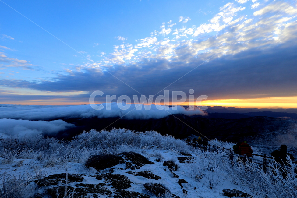 설경,자연,풍경,계절,겨울,겨울,계절,winter,season,자연,풍경,nature,landscape,outdoors,옥외