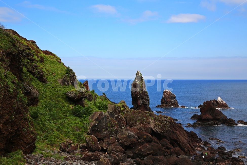 promontory,곶,nature,자연,outdoors,옥외,grass,잔디,plant,식물,ocean,대양,sea,바다,water,물,shoreline,해안선,제주,섭지코지,해변,자연,풍경,nature,landscape