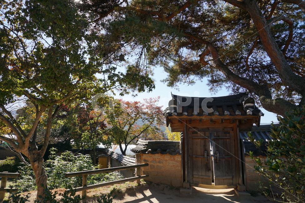 한옥,고택,대문,담장,전통가옥