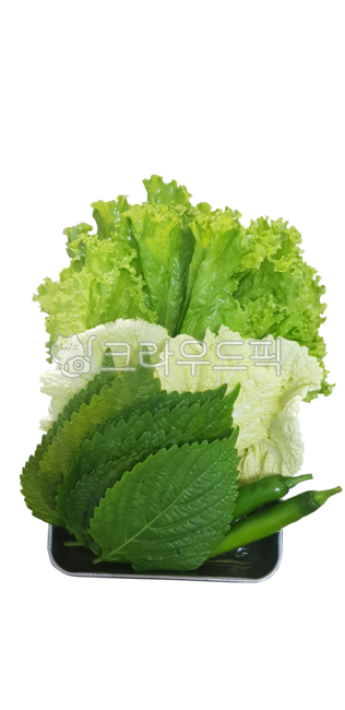 vegetable, 야채, food, 음식, lettuce, 사진,이미지,일러스트,캘리그라피 - 어진작가