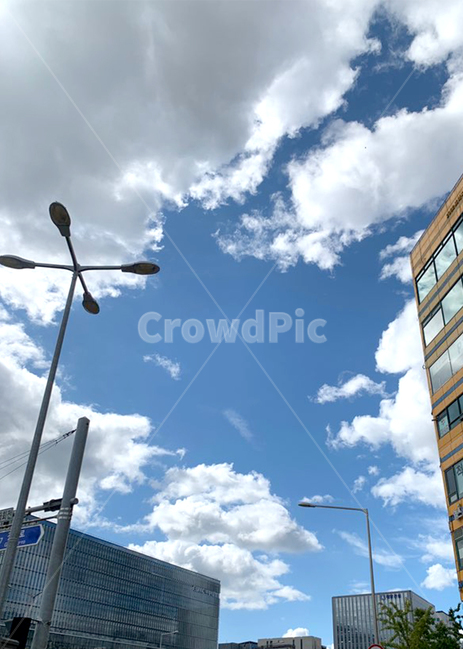 cloud,sky,맑은,하늘,가을하늘,fall,뭉게뭉게,가로수,생각,건물,도시,도시,풍경,city,landscape