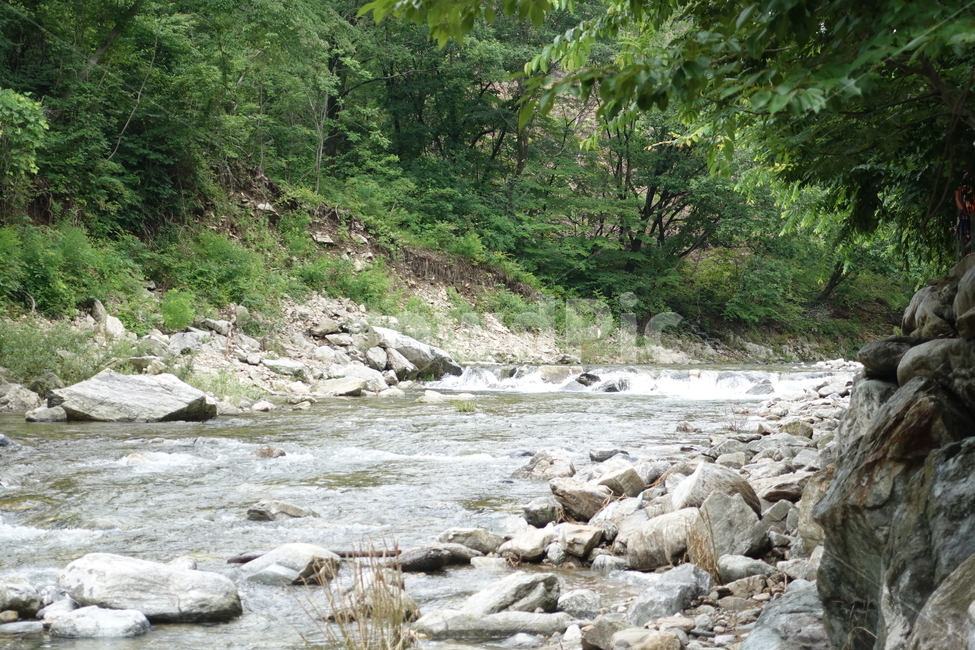 계곡,강,계곡에흐르는물,흐르는물,계국물,자연,풍경,nature,landscape,water,물,outdoors,옥외,stream,흐름,creek,작은 만
