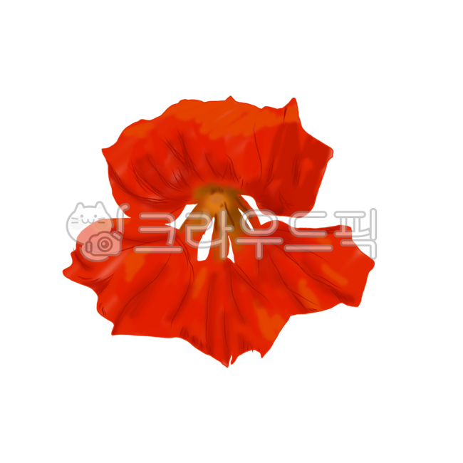 한련화,꽃,한련화꽃,빨강꽃,꽃잎,붉은꽃,flower,petal,한송이,배경,꽃꽂이,꽃다발,그림,한련화꽃그림,꽃그림,그림꽃,그림꽃한련화,일러스트,한련화일러스트,빨간한련화,꽃활동지