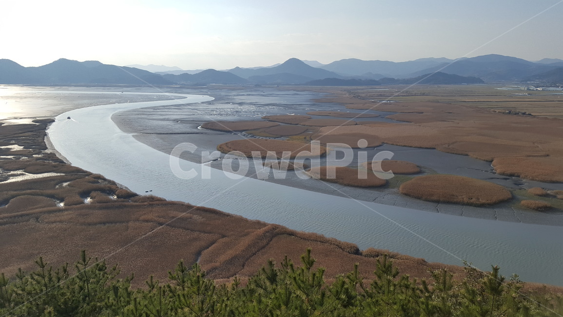순천만,갈대,자연,풍경,바다,자연,풍경,nature,landscape