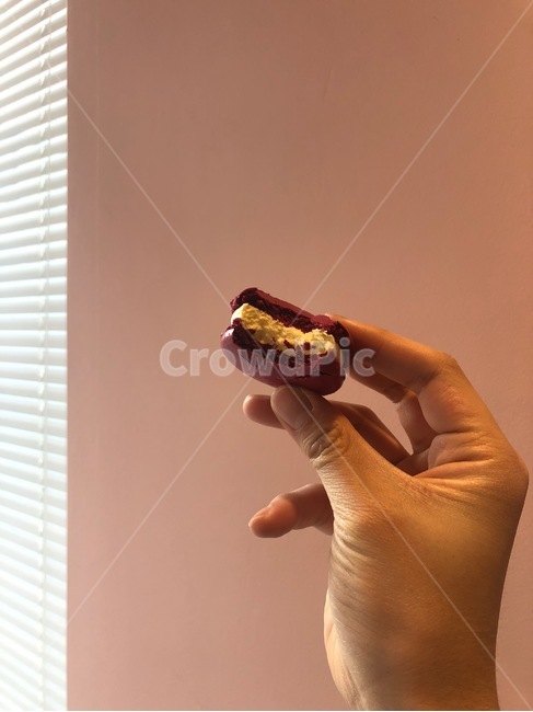 마카롱,디저트,뚱카롱,카페,음식,macarong,손,손가락,집다,먹다,베어물다,한입만,크림,블라인드,핑크,배고픔,eat,맛있는,달콤한,음식,식재료,요리,food,cook,meal,dishes,food reserves,디저트,간식,후식,dessert,snack