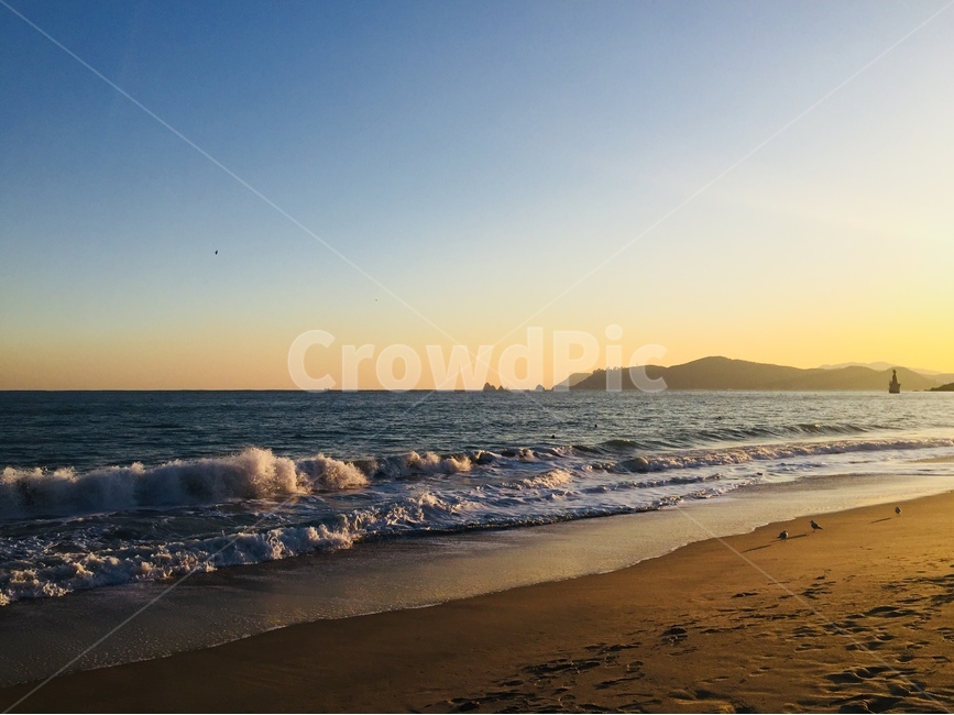 바다,파도,노을,해변,저녁,갈매기,자연,풍경,nature,landscape,해변,바다,beach,sea,ocean,대양,water,물,outdoors,옥외