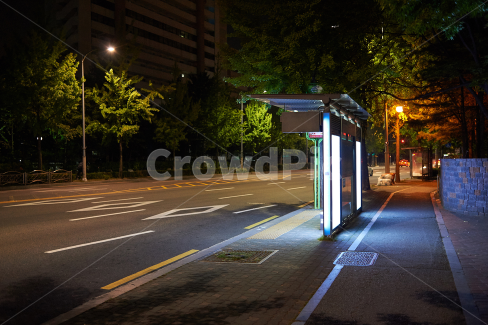 버스정거장,서울,한국,정거장,정류장,새벽,조명,도로,밤,야경