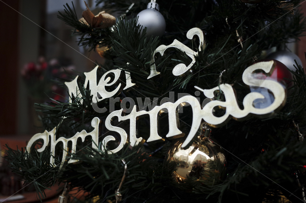 ornament,식물,christmastree,크리스마스트리,장식,tree,나무,plant,christmas,겨울,계절,winter,season,기념일,축하,anniversary,congratulation,celebrate,celebration,메리크리스마스,성탄절,merry christmas