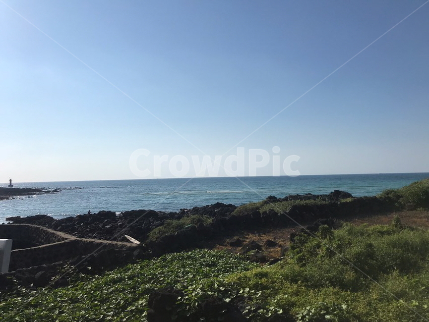 바다,풀,돌,돌담,해안도로,제주도,자연,풍경,nature,landscape,제주도,jeju,jeju island,promontory,곶,outdoors,옥외,land,땅,ocean,대양,water,물,sea,shoreline,해안선