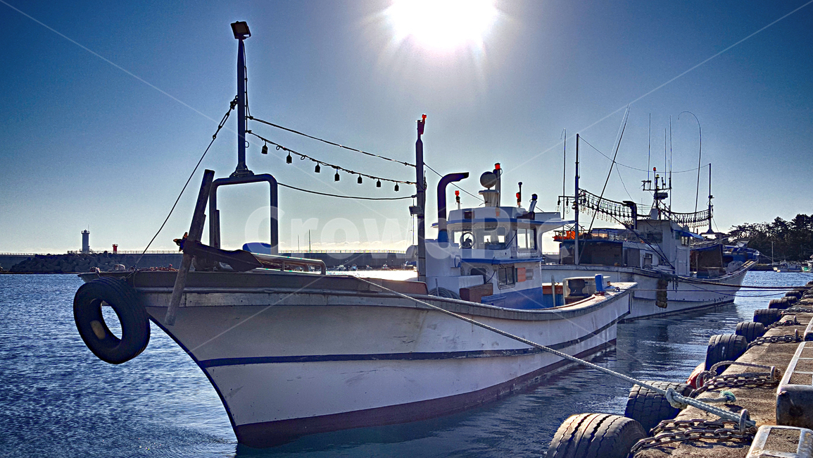 어선,선박,항구,위미항,배,보트,port,교통,어업,fishery,fishing industry