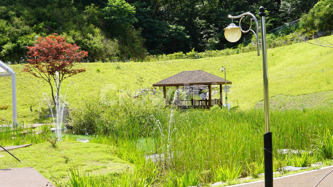 grass,잔디,plant,식물,outdoors,옥외,야외,공원,배경화면,background