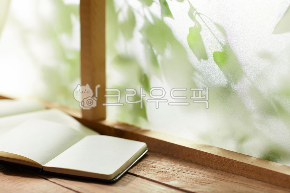 background,window,comfort,decoration,design,eco,foliage,frame,fresh,glass,grass,green,home,indoor,interior,leaf,light,living,modern,natural,object,plant,sunlight,tree,white,배경,밝음,디자인,에코,여백,잎사귀,프레임,후레쉬,초록,녹색,리빙,실내,인테리어,잎,햇살,라이프스타일,내추럴,오브젝트,식물,그림자,창틀,햇빛,선샤인,투명,창문,창가,유리,풀잎