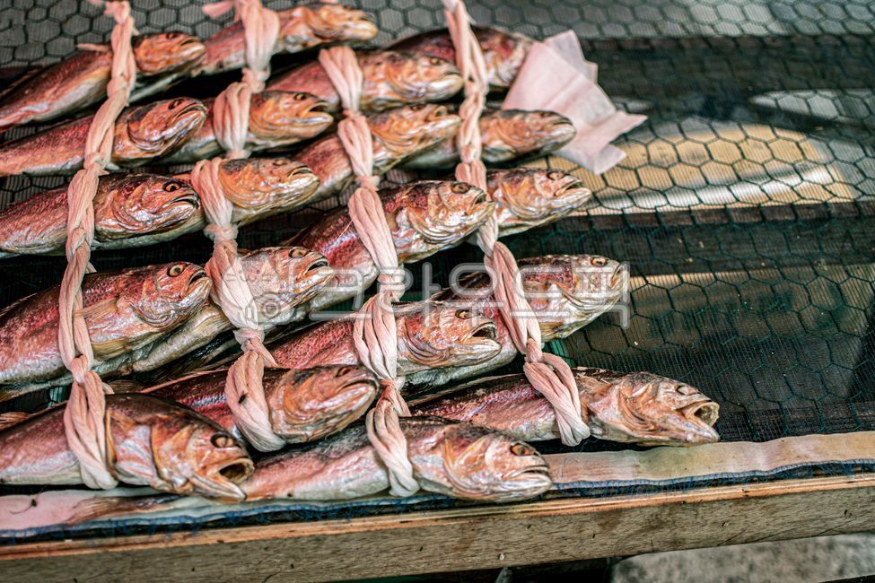 fish,ingredients,Gulbi,croaker,reference machine,fish drying,dried fish