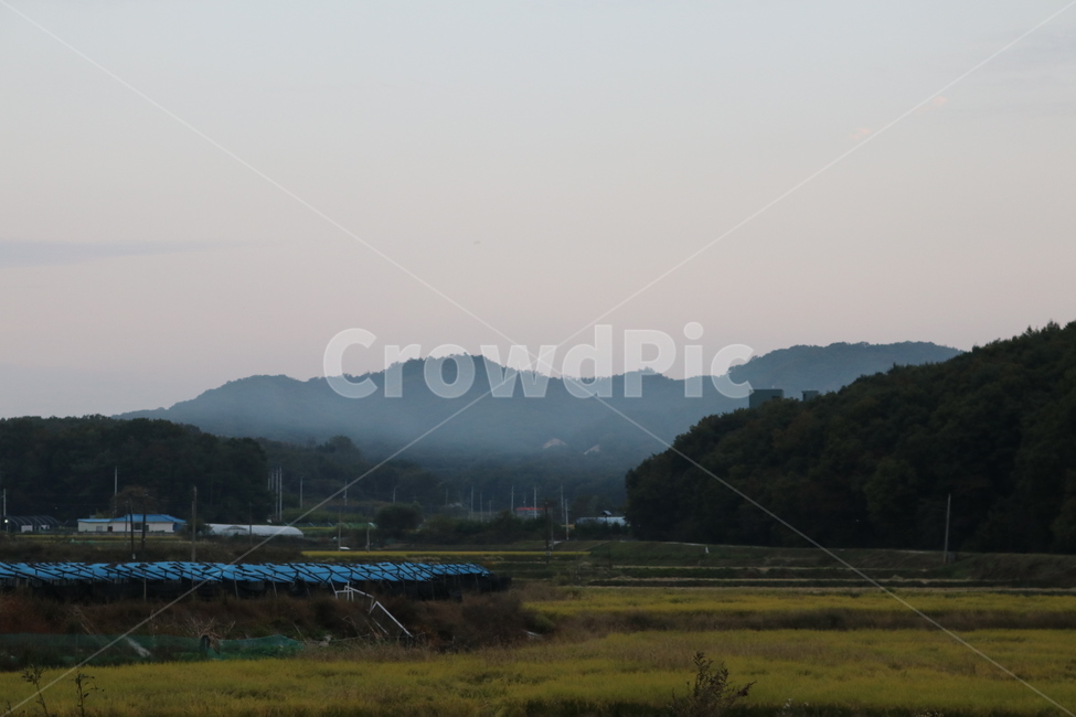 안개,시골,산,봉우리,식물,나무