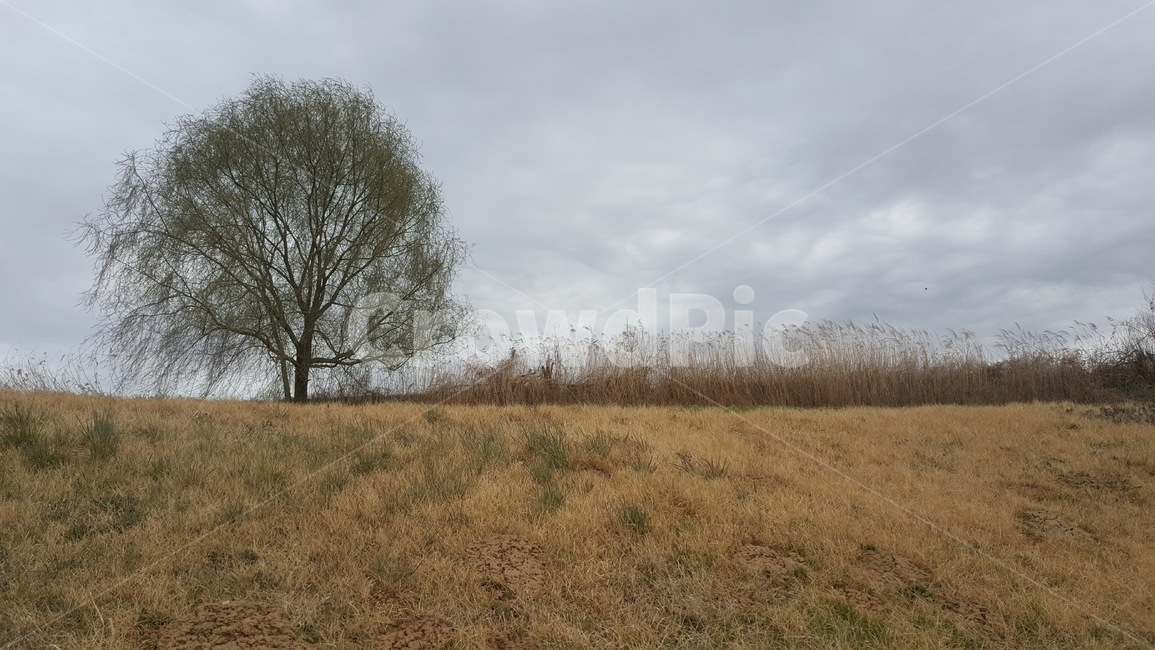 풍경,자연,봄,바람,언덕,자연,풍경,nature,landscape,outdoors,옥외