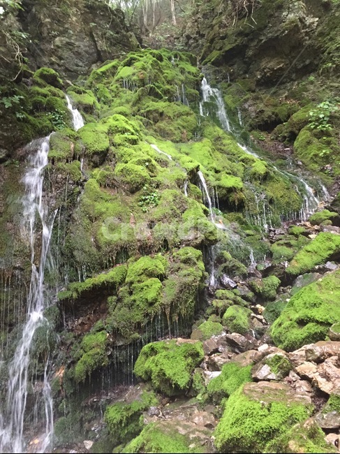 계곡,폭포,산,이끼,초록색,자연,자연,풍경,nature,landscape,river,강,outdoors,옥외,water,물,waterfall