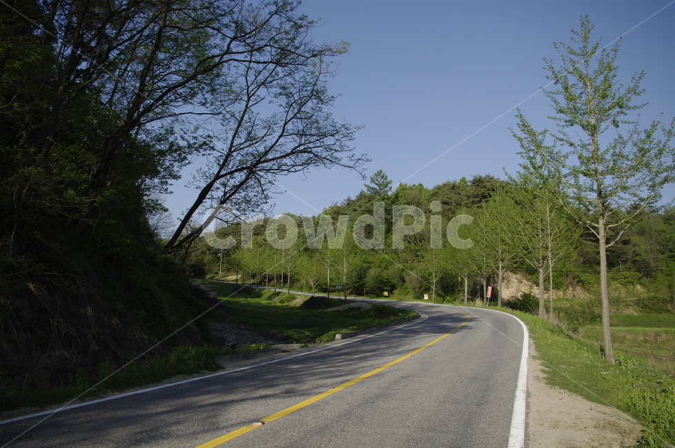 가로수,신록,초록,나무,식물,plant,도로,길,하늘,자연,풍경,nature,landscape,road,asphalt,아스팔트,highway,고속도로,freeway,고속 도로