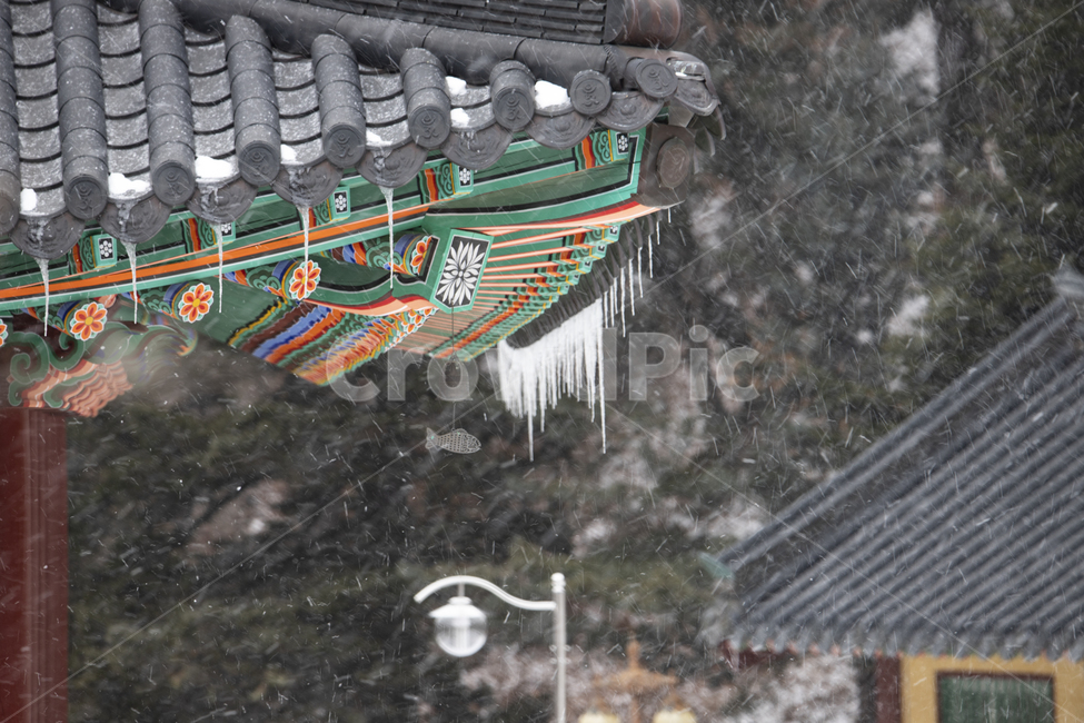 종교,풍경,절,불교,건물,사찰,지붕,단청,현판,기와집,눈,고드름,창살,담장,무늬,패턴,처마,목조건물,전통,강원도,정암사,자장율사,한국,겨울,겨울,계절,winter,season,한국전통,한국문화,korean traditional,korean culture,건축물,건물외관,exterior,building,structure,architecture,construction