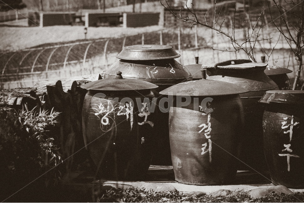 장독,전통주,술독,독,항아리,가마솥뚜껑,흑백,뚜껑,이름표,술,왕대포,막거리,한국전통,한국문화,korean traditional,korean culture,흑백,모노톤,monochrome,black and white,사물,물건,오브젝트,thing,object,matter