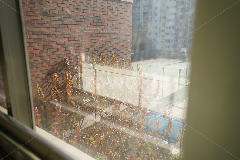 풍경,창,빛,윈도우,창가,햇살,느낌,감성,window,shine,건물