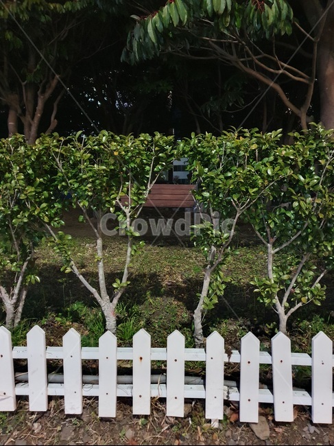 울타리,fence,나무,벤치,밤,산책,공원,제주도