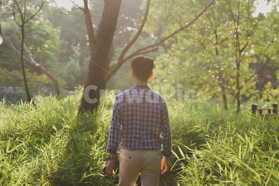 공원,남자,뒷모습,숲길,자연,나무,풀,초록,사람,man,haman,park,nature,green,tree,사람,인물,인간,human,person,남성,남자,man,male,휴식,힐링,rest,relaxation,healing