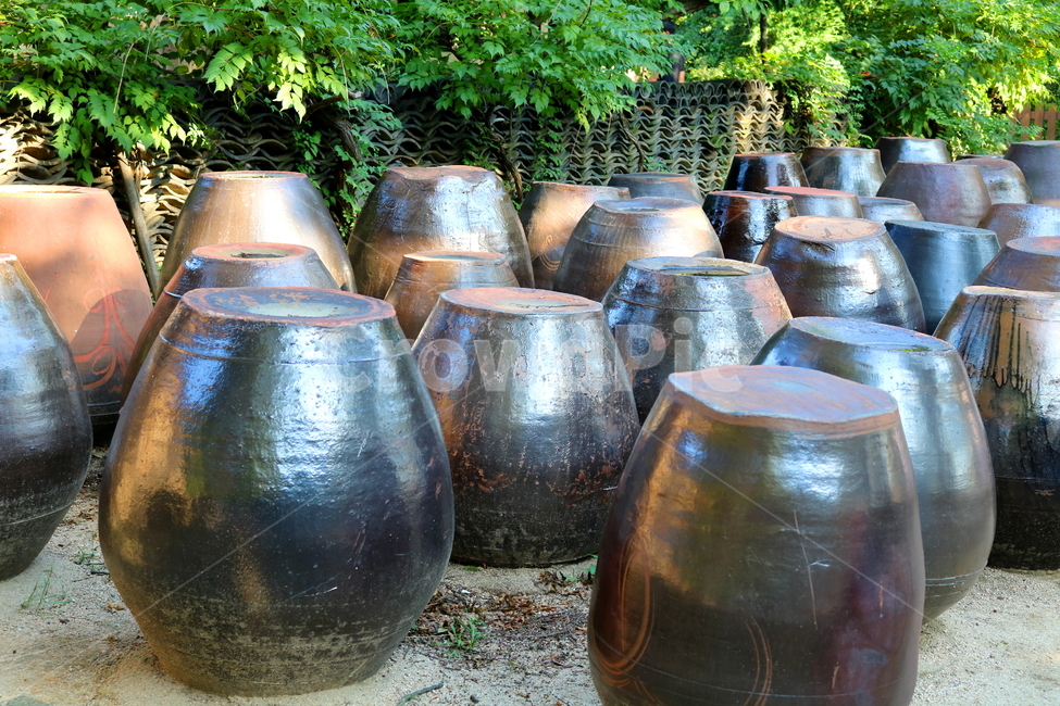 항아리,장독,장독대,옹기,전통,자연,나무,식물,한국전통,한국문화,korean traditional,korean culture