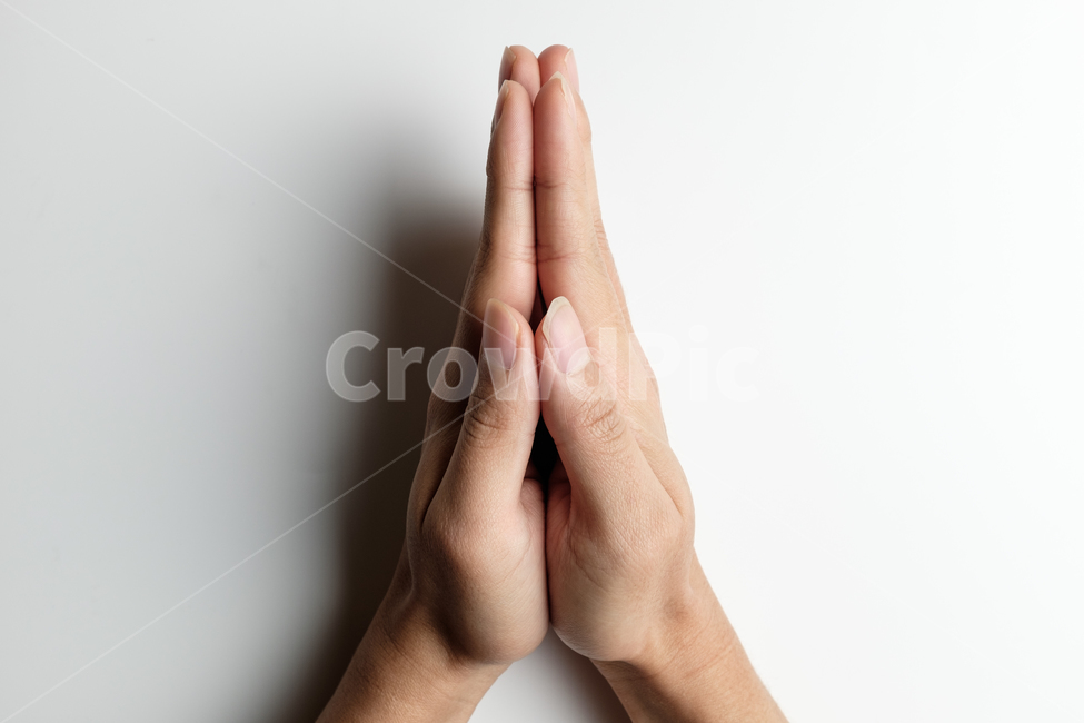 손,손등,손톱,힘줄,깍지,신체부위,겹친,모은,사람손,제스쳐,성인,남자,클로즈업,상징,수신호,기도,합장,손가락,엄지손가락,검지손가락,중지손가락,약지손가락,새끼손가락,신체부분,신체일부,몸,body