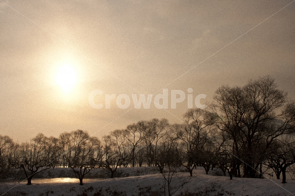 풍경,해,나무,하늘,빛,landscape,겨울,계절,winter,season,자연,풍경,nature,landscape,light,flare,플레어,outdoors,옥외