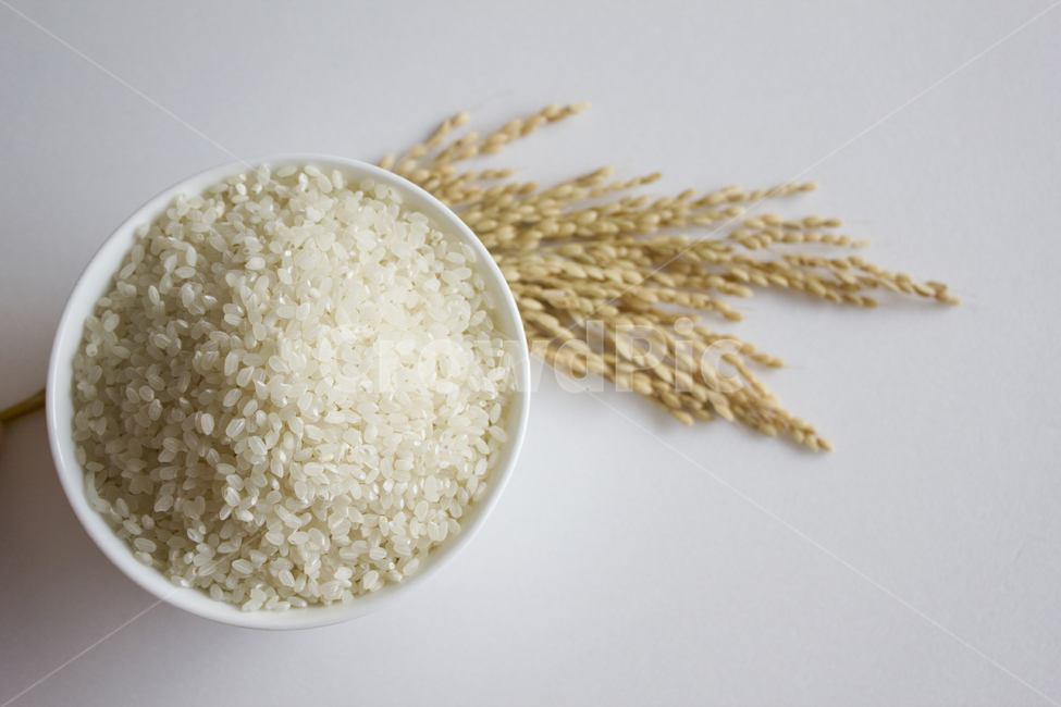 grains of rice,golden yellow,yellow,white background,bowl,dried,gold,white,rice farming,farming,Food Ingredients,ingredients,a bundle,grain,cooking,Rice seeds,grain of rice,Golden,rice bowl,close up,nature,rice,brown,food,grains,White,granules,plant