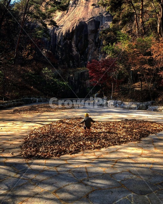 tree,나무,plant,식물,person,사람,human,인간