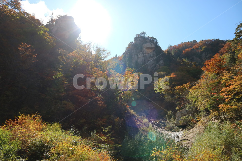 강원도,설악산,한계령,가을,풍경,가을,계절,fall,autumn,season,자연,풍경,nature,landscape,한국자연풍경,한국자연경관,korea nature landscape,flare,플레어,light,빛,outdoors,옥외