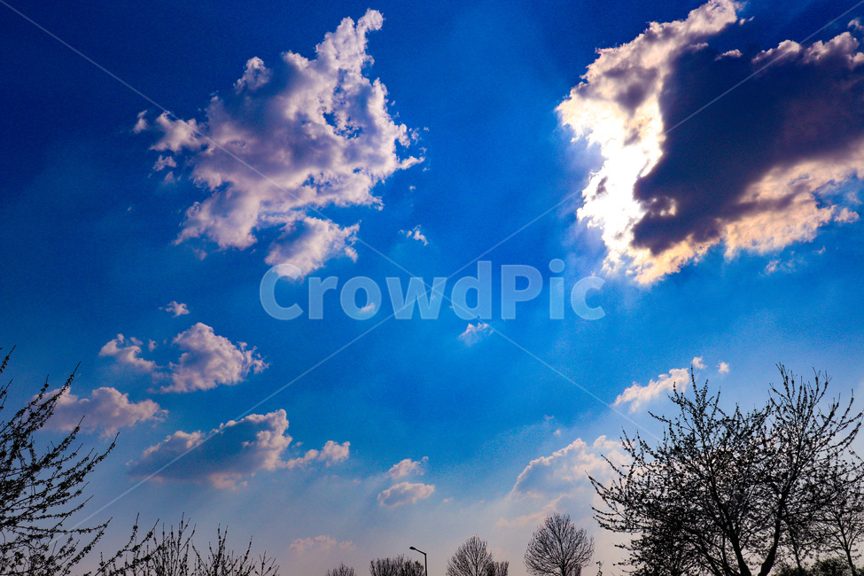 하늘,구름,나무,풍경,햇빛,nature,outdoors,옥외,azuresky,푸른하늘,sky,자연,빛