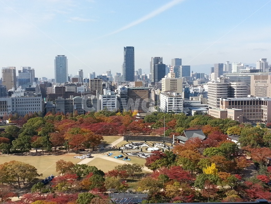 오사카가을전경,도시,오사카성,가을,건물,해외,외국,세계,foreign,oversea,world,세계도시풍경,해외도시풍경,외국도시풍경,world cityscape,town,city,시티,building,urban,어반,downtown,도심,outdoors,옥외,nature,자연,landscape,경치,scenery,풍경,metropolis,중심지