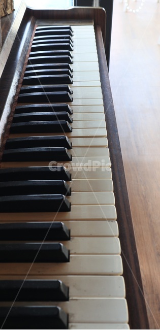 오르간,음악,피아노,악기,건반,풍금,악기,음향기기,musical instrument,musical equipment