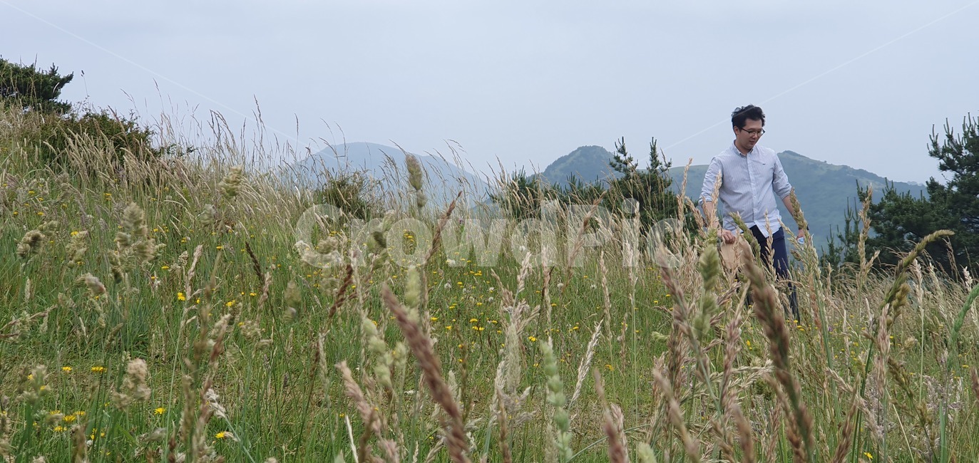 jeju,산,자연,식물,잔디,제주도,plant,grass,green,nature,자연,풍경,nature,landscape,사람,인물,인간,human,person,남성,남자,man,male,lawn