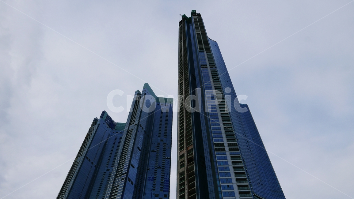 building,건물,officebuilding,도시,시티