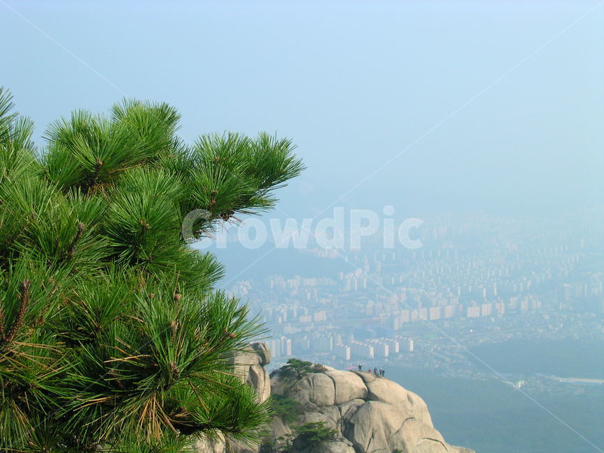 도봉산,정상,푸르름,암석,절벽,바위,등산