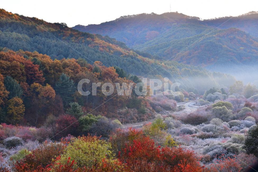 자연,풍경,가을,단풍,새벽,산,나무,가을,계절,fall,autumn,season,자연,풍경,nature,landscape,outdoors,옥외,mountain