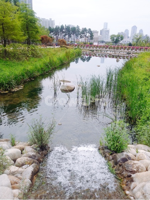돌다리,자연,부산,풍경,시민공원,나무,물,한국도시풍경,한국도시경관,korea cityscape