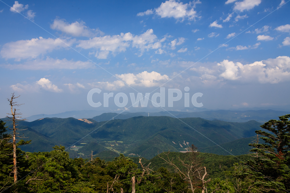 알펜시아,강원도,환경,농촌,구름,숲,공원,맑은,풍경,여름,자연,풍경,nature,landscape,outdoors,옥외,weather,날씨,mountain range,산맥,mountain,산,cumulus,적운,sky,하늘,cloud