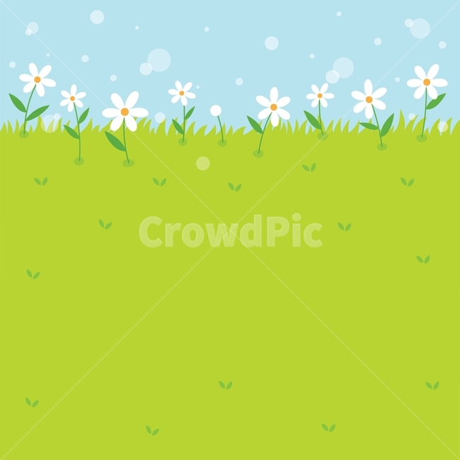 꽃,구름,데이지,잔디,봄,일러스트,식물,자연,백그라운드,배경,design,daisy,flower,illustration,graphic,그래픽,일러스트레이션,graphic,illustration