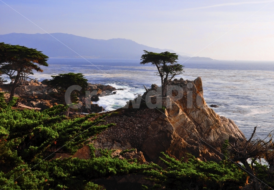 소나무,절경,여행,캘리포니아,바다,자연,풍경,nature,landscape,해외,외국,세계,foreign,oversea,world,세계자연풍경,해외자연풍경,외국자연풍경,world nature landscape,outdoors,옥외,land,땅,promontory,곶,shoreline,해안선,water,물,sea,ocean,대양,coast,연안