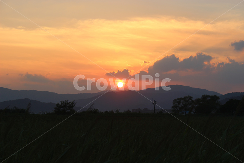 nature,자연,outdoors,옥외,sky,하늘,sunset,일몰,dusk,황혼,dawn,새벽,redsky,붉은하늘,구름,나무,tree,자연,풍경,nature,landscape