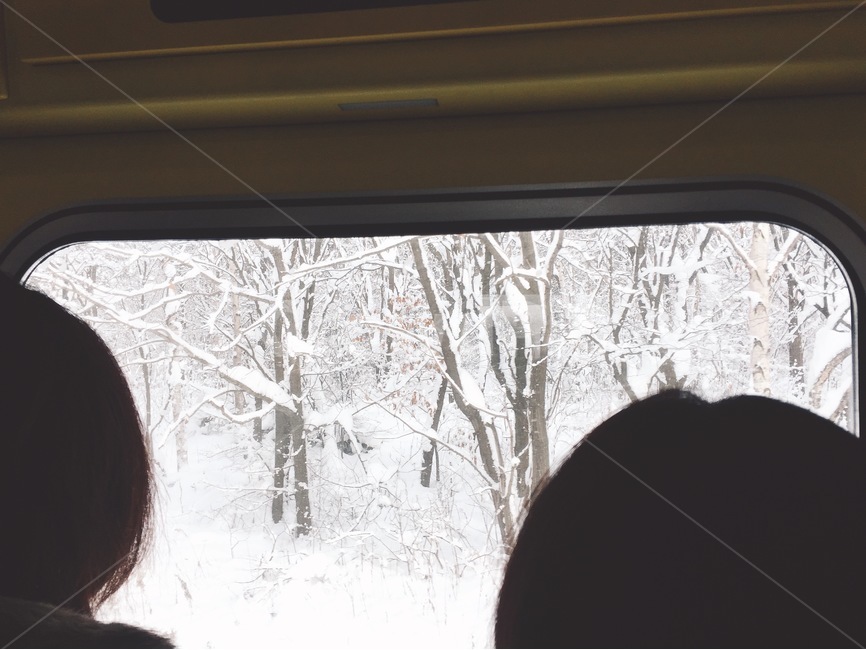 눈,뒷모습,쓸쓸한,나무,설경,폭설,겨울,계절,winter,season,사람,인물,인간,human,person,인물실루엣,사람실루엣,character silhouette,human silhouette,nature,자연,outdoors,옥외,storm,폭풍,blizzard,눈보라,snow