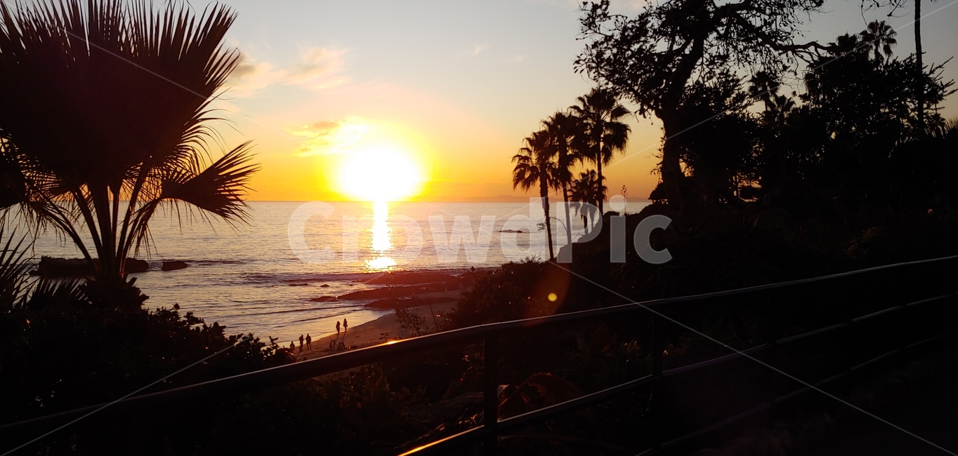 lagunabeach,california,모래사장,바닷가,파도,야자수,일몰,sunset,자연