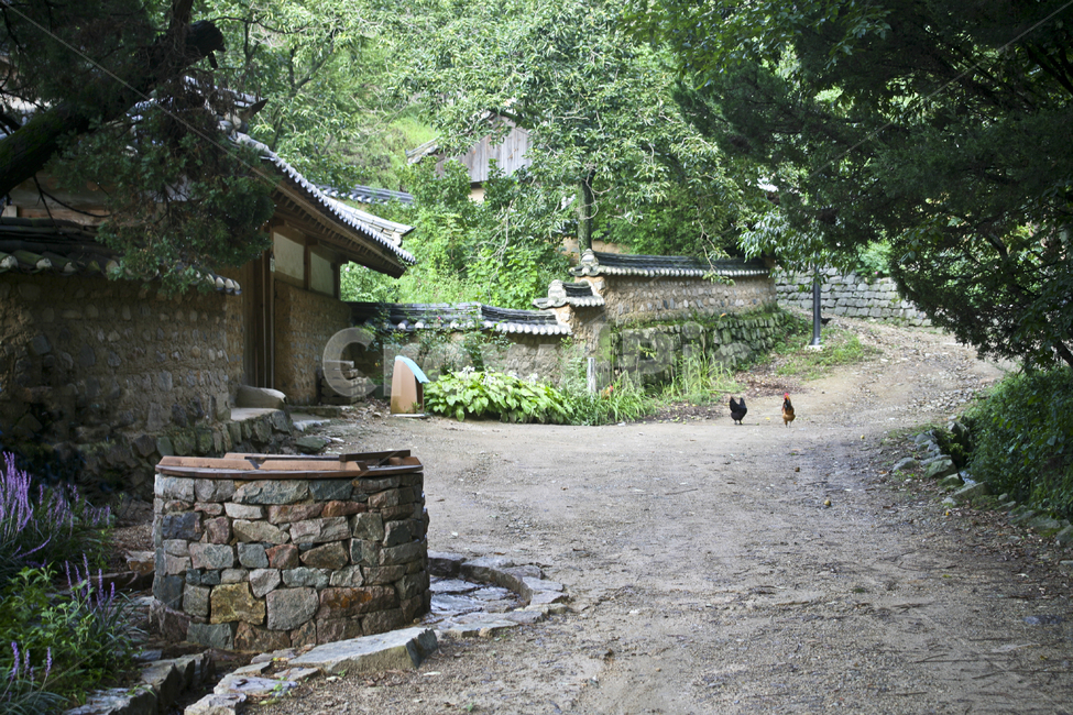 우물,돌담,정자,옥외,flagstone,outdoors,path,통로,garden,arbour,정원