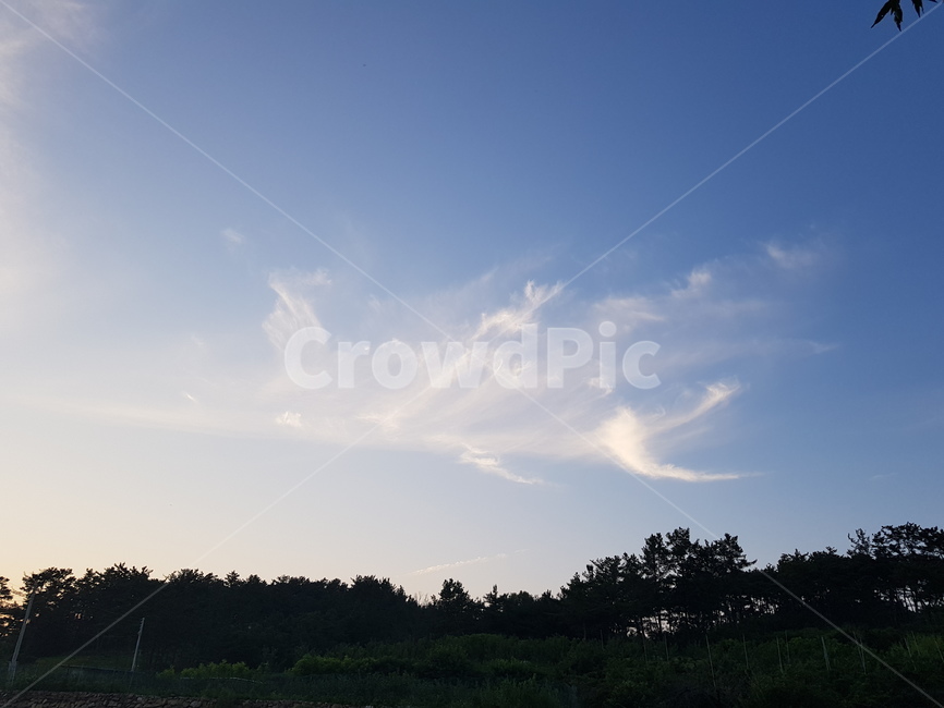 구름,하늘,파란하늘,흰구름,cloud,sky